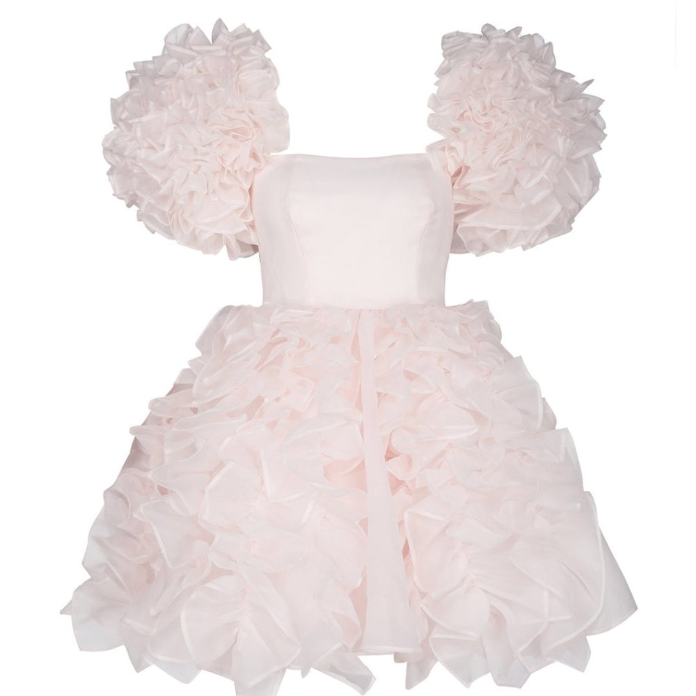 SELKIE The Strawberry Milk Paris Dress NWT! XXL